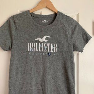 Hollister Gray T-shirt - NWT - Small